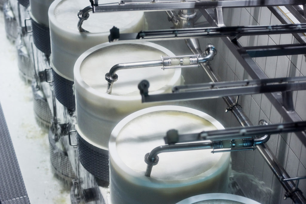 Close-uo of liquid cheese at production line.